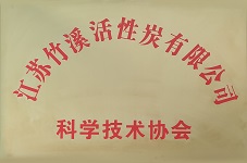 江蘇竹溪活性炭有限公司科學(xué)技術(shù)協(xié)會(huì)成立